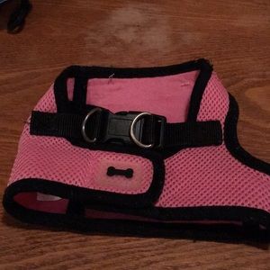 Puppy halter